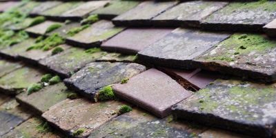 Cresswell roof repair costs